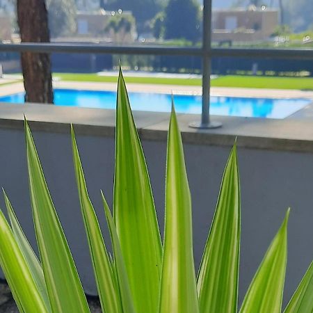 Barca House - Nature - Golf - Pool & Beach Esposende Eksteriør bilde