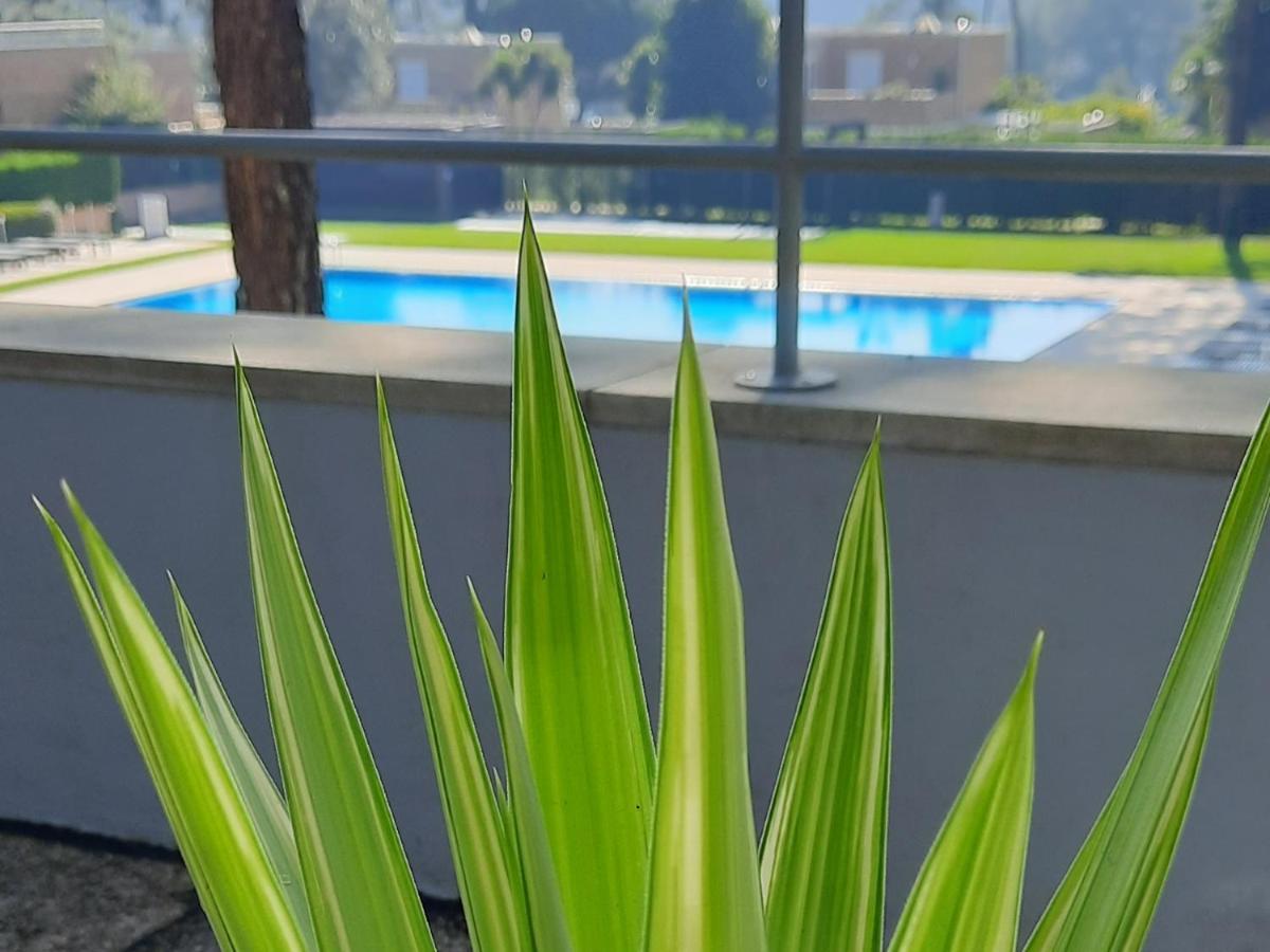 Barca House - Nature - Golf - Pool & Beach Esposende Eksteriør bilde
